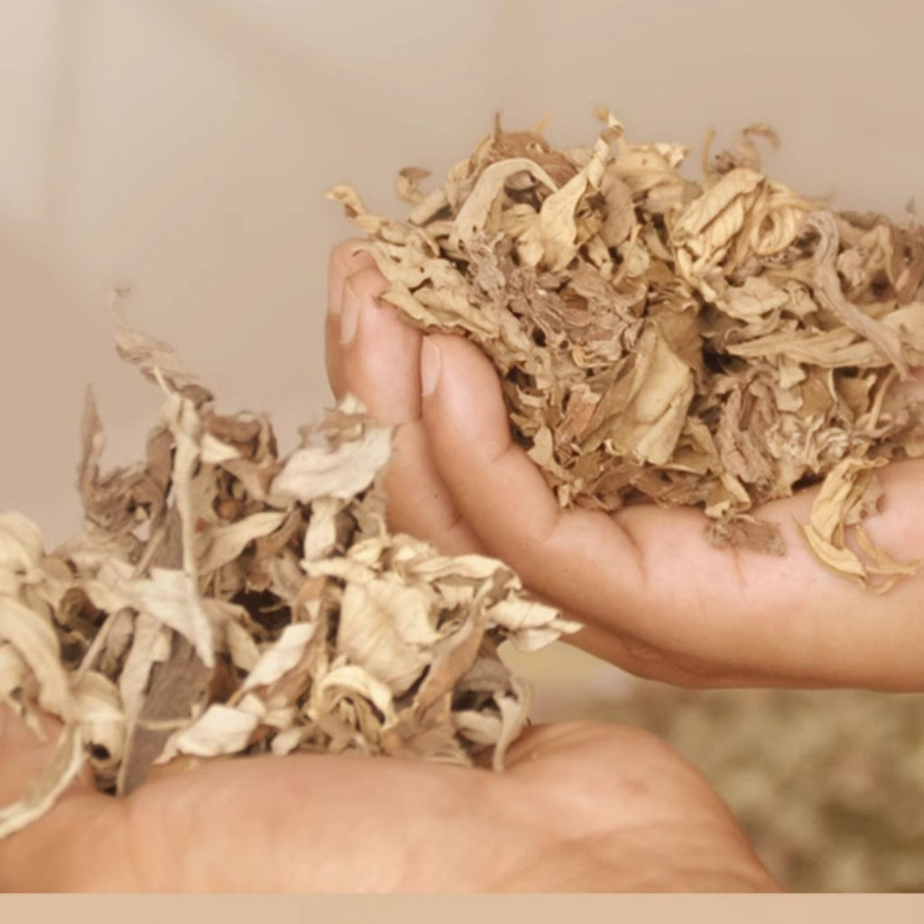 5-Year Aged Moxa Sticks Deep Therapy for Joint Pain Menstrual Relief & Digestion