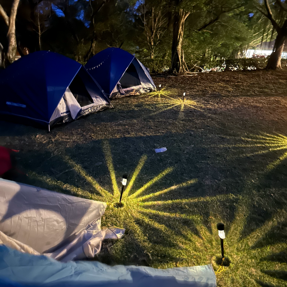 #S13 Solar Pathway Lights Outdoor 10 Pack