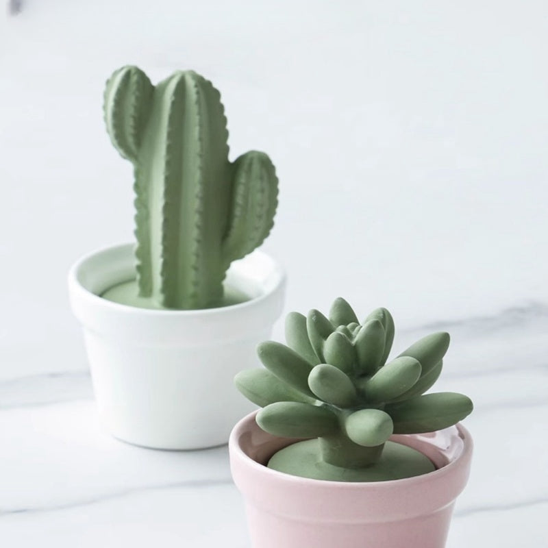 42 Step Handcrafted Succulent Plant Aromatherapy Diffuser