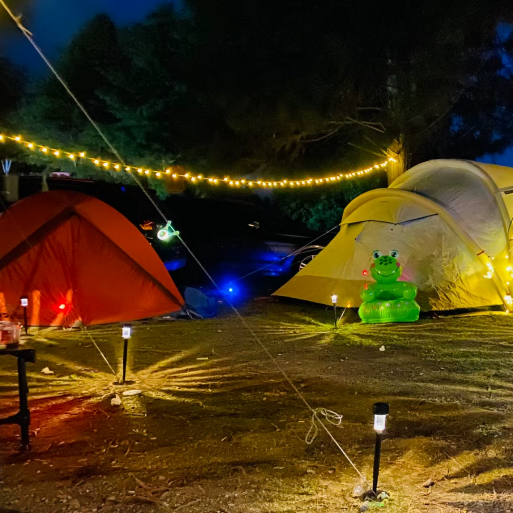 #S13 Solar Pathway Lights Outdoor 10 Pack