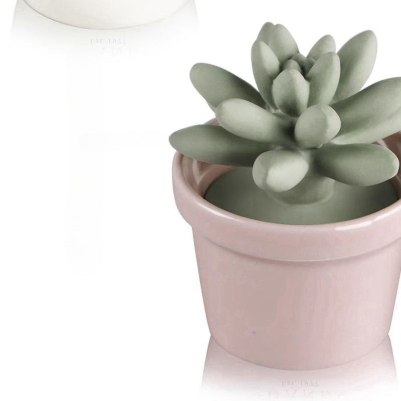 42 Step Handcrafted Succulent Plant Aromatherapy Diffuser