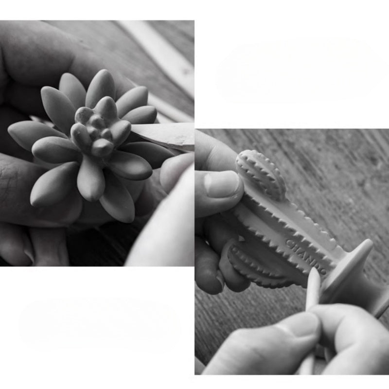 42 Step Handcrafted Succulent Plant Aromatherapy Diffuser