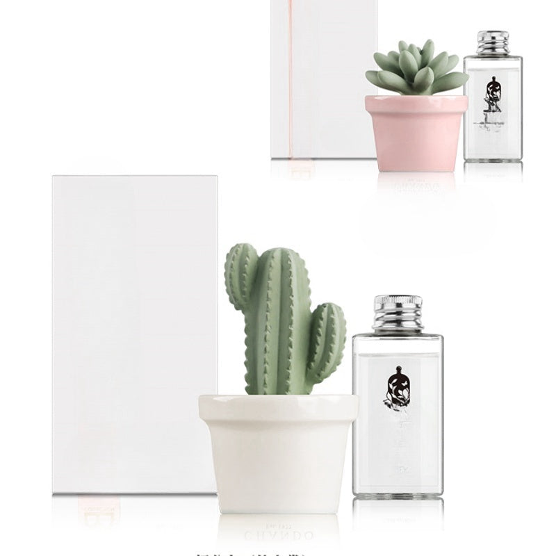 42 Step Handcrafted Succulent Plant Aromatherapy Diffuser