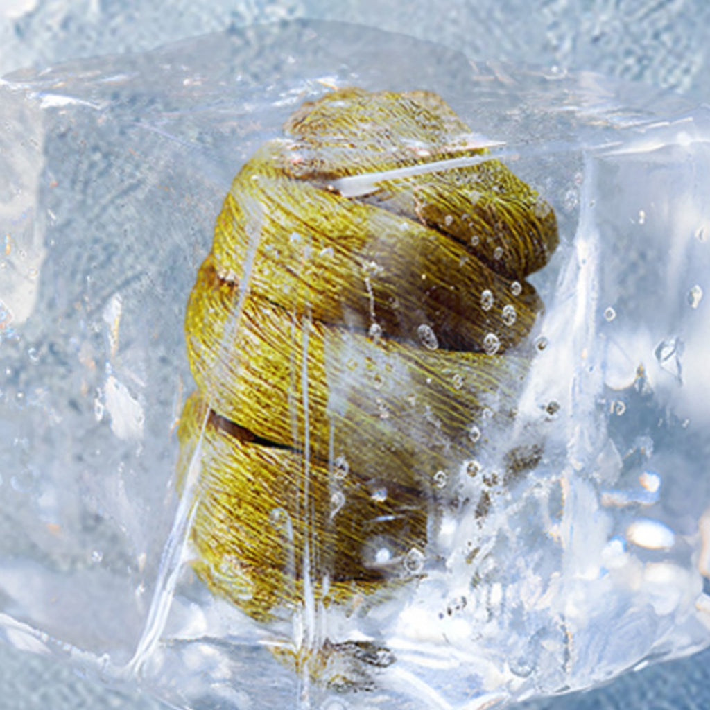 Premium Dendrobium Officinale (Tiepi Shihu) Freeze-Dried Powder