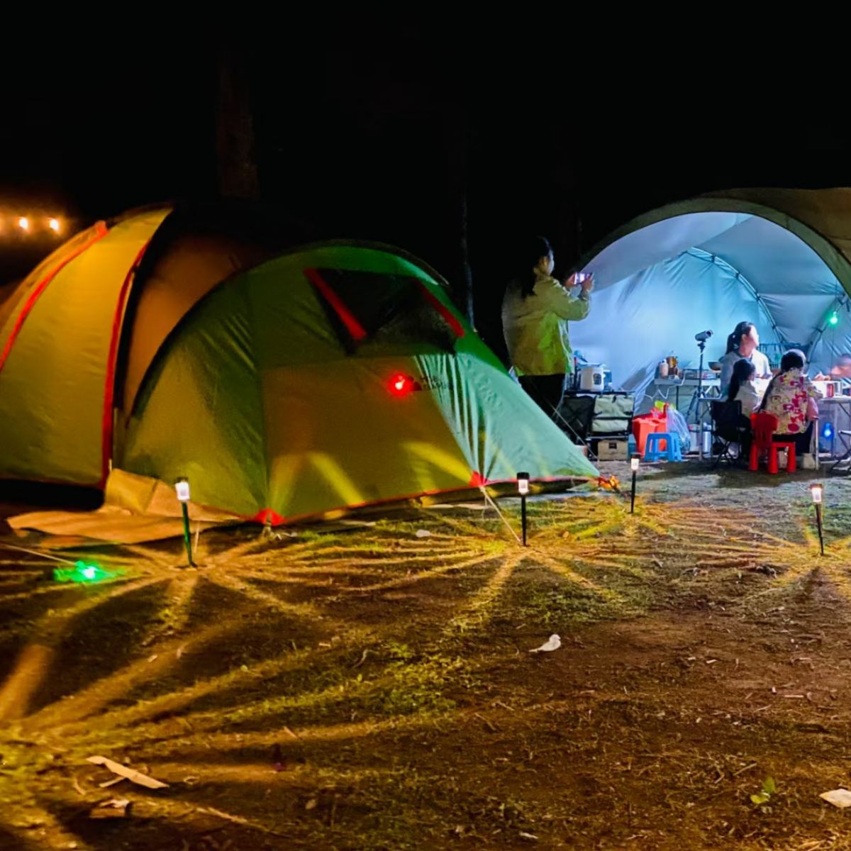 #S13 Solar Pathway Lights Outdoor 10 Pack