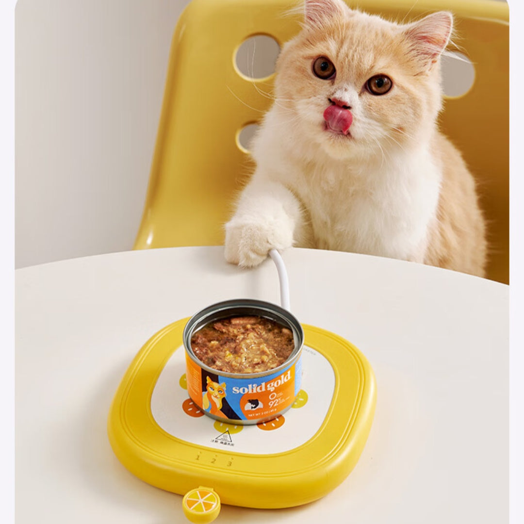 Heating Tea Pot Set with Tea Pot Heating Cup Mat and Sharing Cups