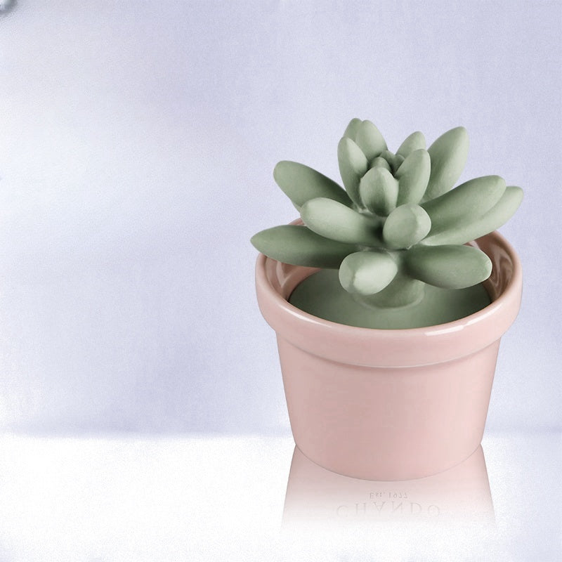 42 Step Handcrafted Succulent Plant Aromatherapy Diffuser