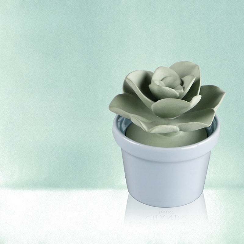 42 Step Handcrafted Succulent Plant Aromatherapy Diffuser