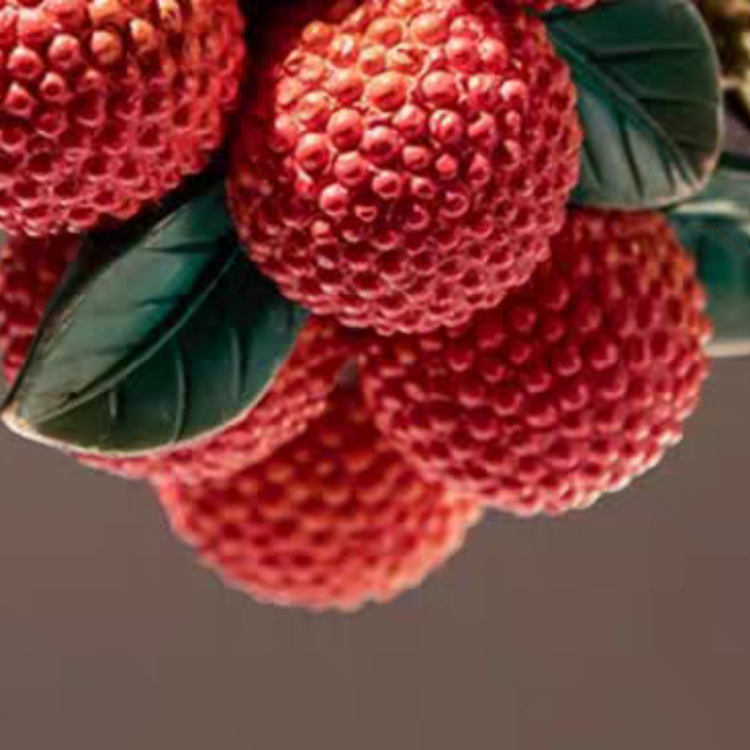 #166 Lychee Sculpture Decorative Figurines Home Decoration