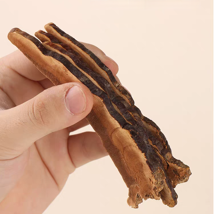 Wild-harvested Reishi Mushroom Slices